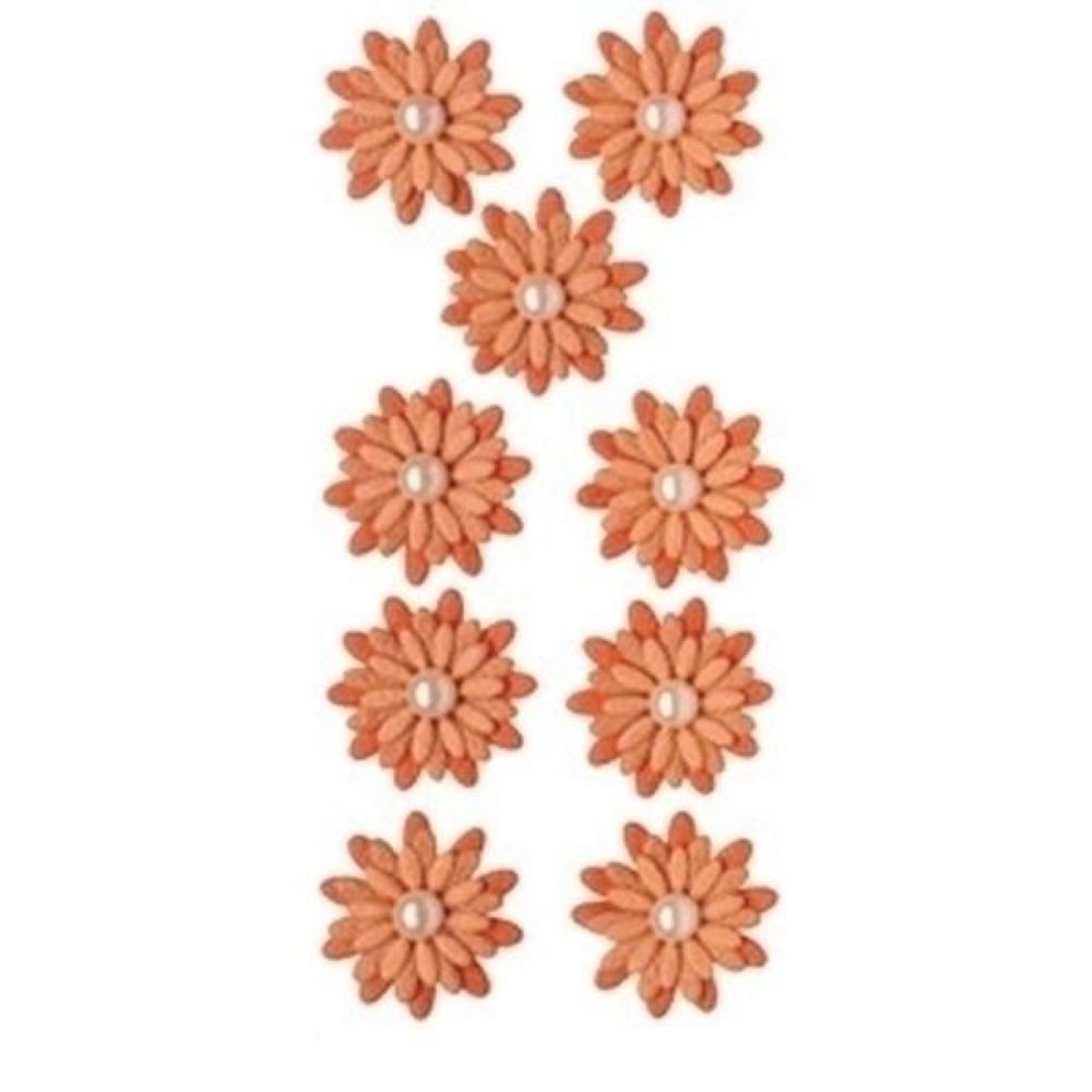 9100068